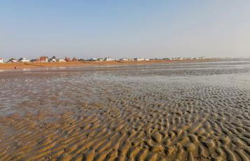 The Studio - Foto 15