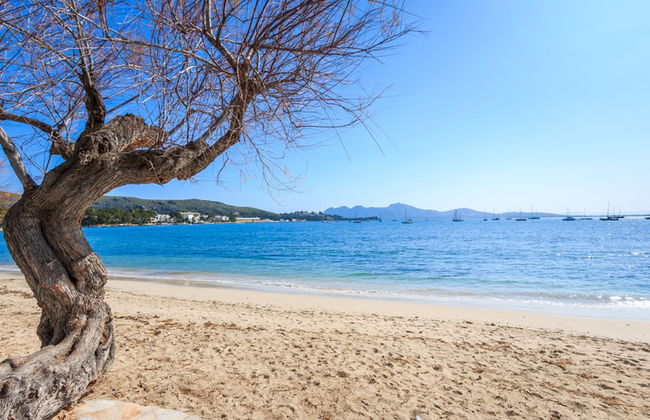 Apartamento Can Doria - Foto 30