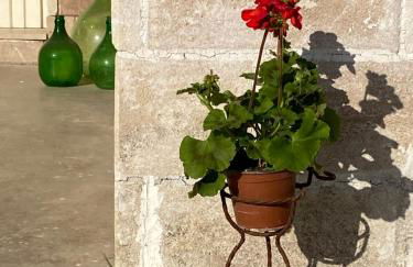 VILLA VITA - Foto 43