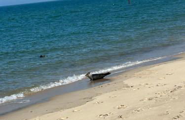 Hideaway Barn Coltishall Norfolk broads - Photo 18