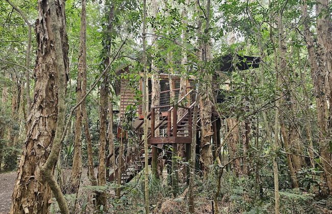 Wanderers Retreat Port Stephens - Photo 28