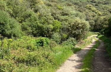 Vivi Natura - Foto 36