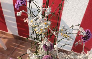 Casiña Palmira - Foto 7