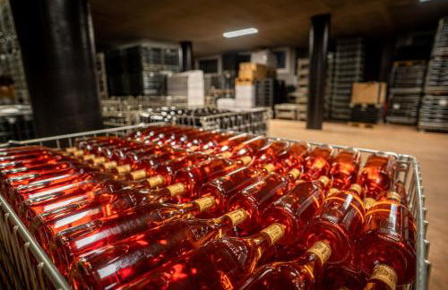 Agriturismo Cascina Sciulun - Foto 29