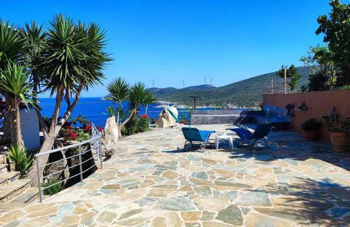 Seagulls - Within walking distance from sea! - Foto 1