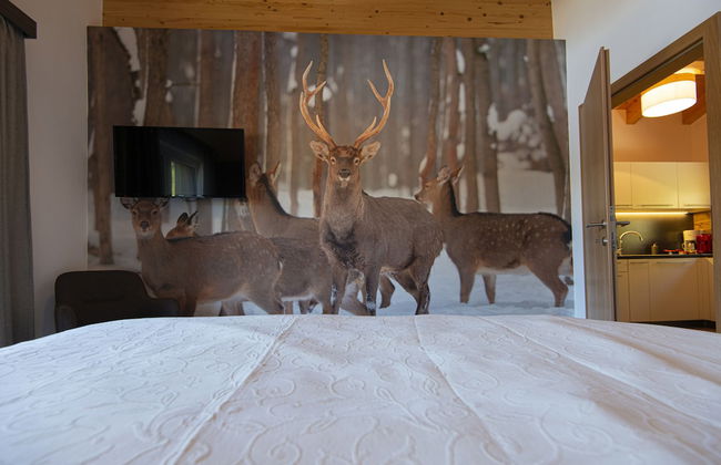 Appartement Dorf Wagrain Alpenleben - Foto 60