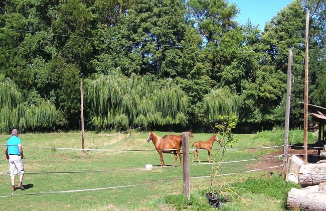 Rural Pool Retreat in the Hills - Foto 9