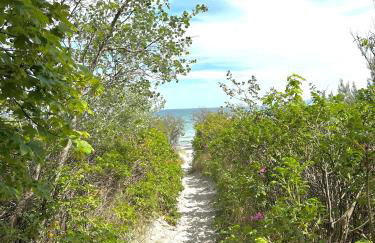 Strandperle - Foto 1