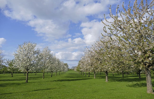 Spacious Villa near Town Center in Mesch - Photo 67