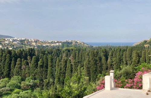 Tranquil Studio Andros - Foto 16