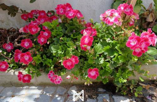 MyStay - Casa Sete Lano - Foto 25