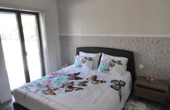 Olival da Seara - Foto 6