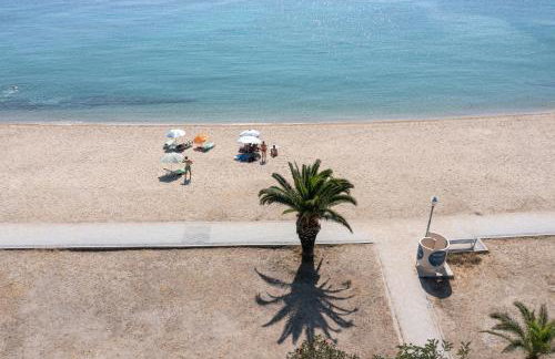 Acapus Studios - Foto 16