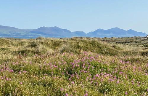 Barn End, 9 Stad Clynnog - Foto 32