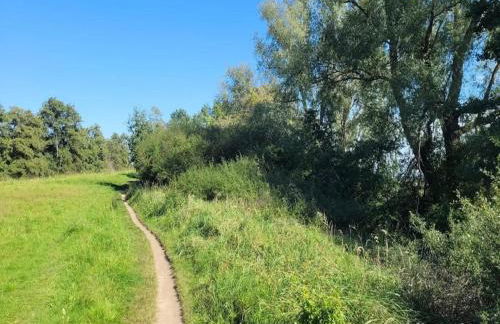 Farmstay Neuendorfkrug, Lütow - Foto 51