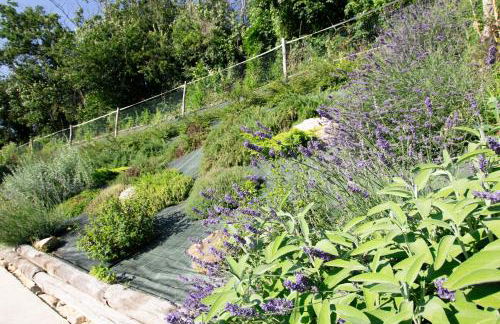 Ciabot Donna Rosa - Photo 5