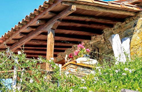 Vilar dos Condes - Photo 13