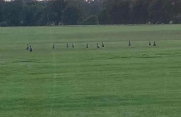 Das Blaue Haus - Foto 27