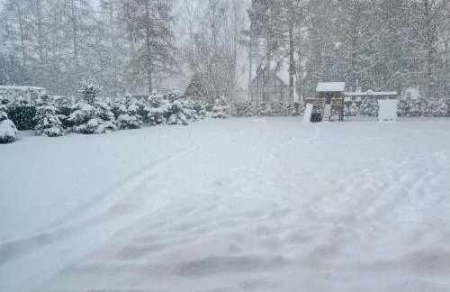 Wejsuniak Mazury - Foto 39