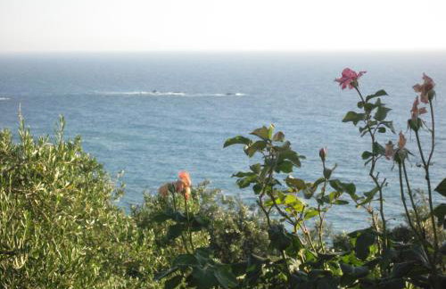 Areti Studios - Foto 71