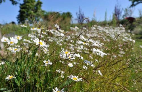 Ferienwohnungen im Fischerdorf und - Foto 5