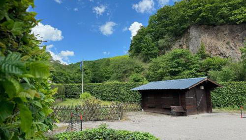 Grosse Gruppenunterkunft im Nationalpark Eifel mit Bar und Terrasse - Photo 3, Garden