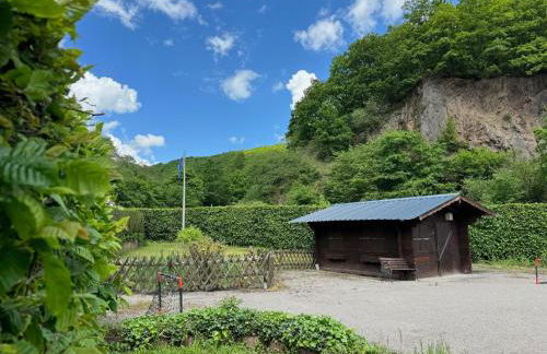 Grosse Gruppenunterkunft im Nationalpark Eifel mit Bar und Terrasse - Foto 3
