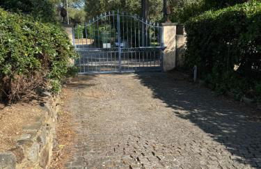 Le mazet du grand pin - Foto 13