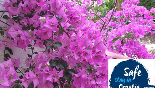 Villa Sandra Hvar - Foto 5