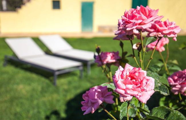 Poggiolivi Agriturismo Bio in Maremma - Photo 54