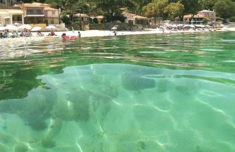 Sea La Vie - Photo 43