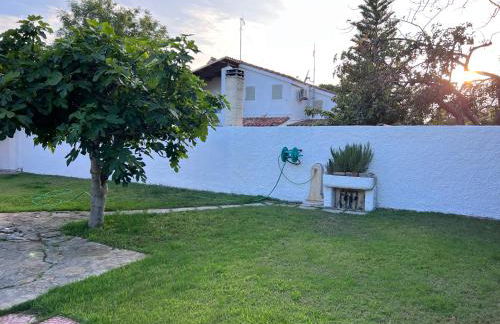 La Babbaiola di Torre delle Stelle - Foto 25