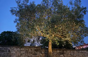 Apartman Ostrea *** - Foto 39