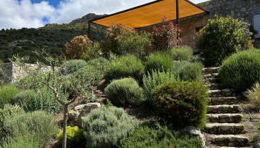 Résidence Casarella Lama - Foto 3