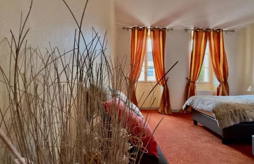 O et Terre, gite ressourcement bains spa cryo sauna et foret - Foto 19