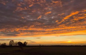 The Orchard's Nook Treehouse - Foto 2