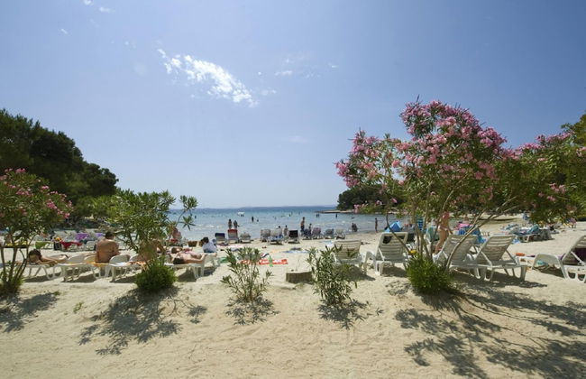 Apartment in Dalmatia With Terrace - Foto 34