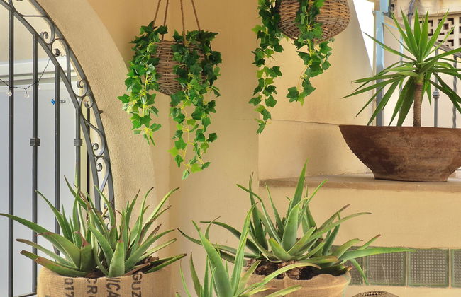 Flor Los Almendros Apartamentos - Foto 22