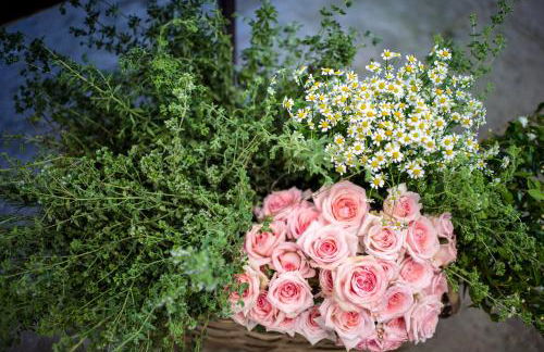 Agriturismo Fattoria Terranova - Foto 66