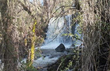 El Portal de Castroserna - Foto 31