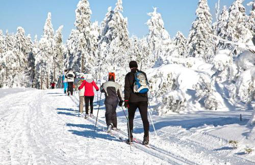 "Das Jagdhaus"- Chalet am Skigebiet mit Sauna - Foto 23
