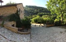 Il renaiolo - Foto 8