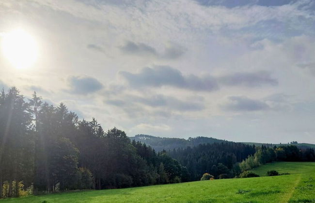 Old Forge Modern Retreat - Foto 29