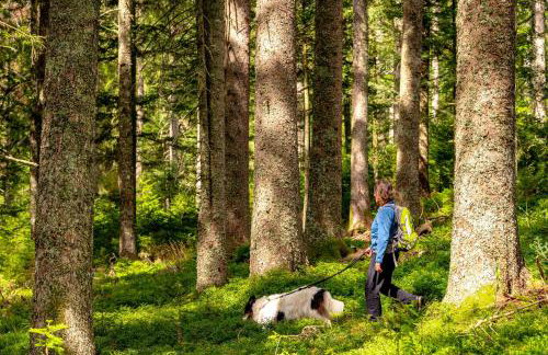 Blütenzauber - Photo 10