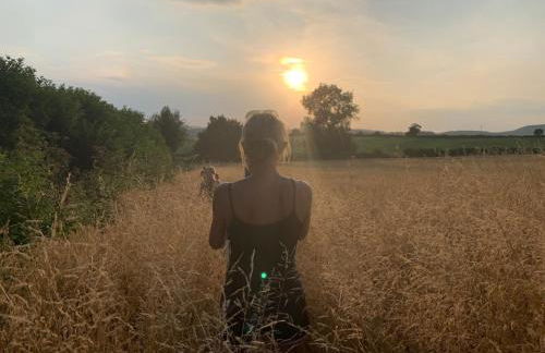 Trillow House, Clungunford, Ludlow - Foto 36