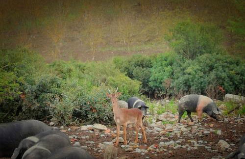 Agriturismo Grecinella - Foto 52