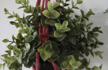 El Pinsapo - Foto 28