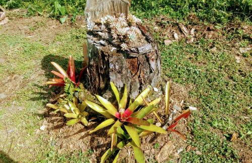 Chalé Vale das Flores - Visconde de Mauá Rj - Photo 17