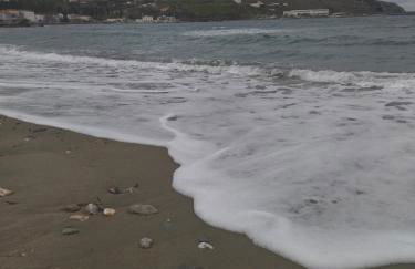 Andros Trecking Paradise Holiday Cottage by "elite" - Foto 10