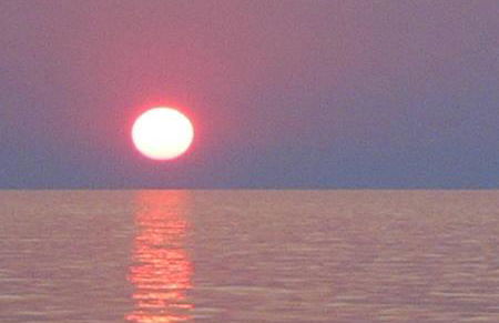 Ambra di mare - Foto 34